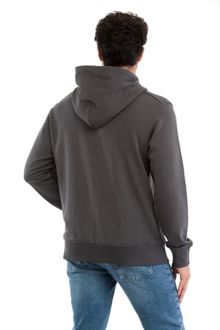 Sweat regular com capuz - Cinzento