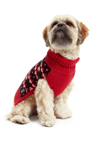 Pull pour chien - Rouge et noir