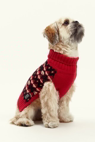 Pull pour chien - Rouge et noir