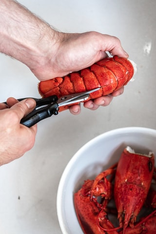 Ciseaux à crustacés en acier inoxydable