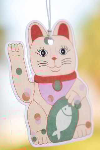 3 Decoratieve Luchtverfrissers - 10,5 x 17,5 x 0,8 cm