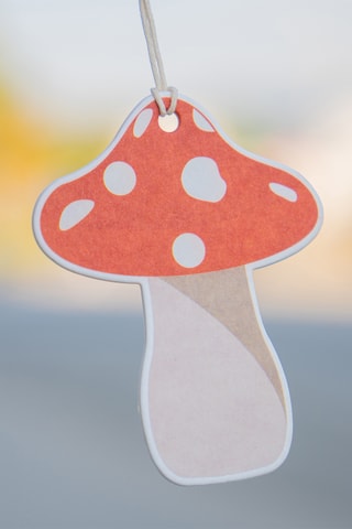 3 Decoratieve Luchtverfrissers - 10,5 x 17,5 x 0,8 cm