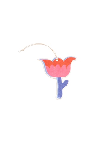 3 Decoratieve Luchtverfrissers - 10,5 x 17,5 x 0,8 cm