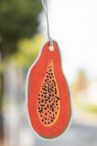 3 Decoratieve Luchtverfrissers - 10,5 x 17,5 x 0,8 cm