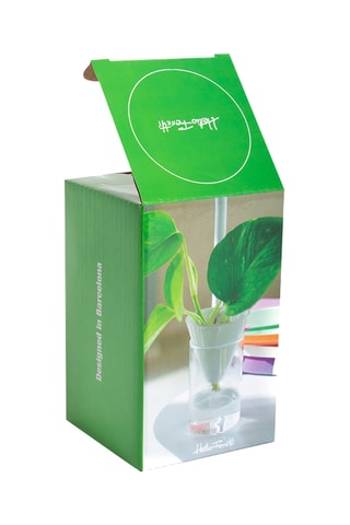 Aardewerk Hydrocultuurpot - 7,8 x 10 x 7,8 cm - Wit