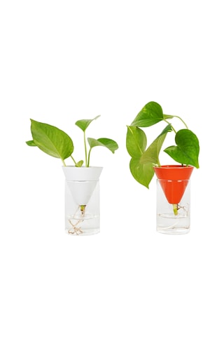 Aardewerk Hydrocultuurpot - 7,8 x 10 x 7,8 cm - Oranje