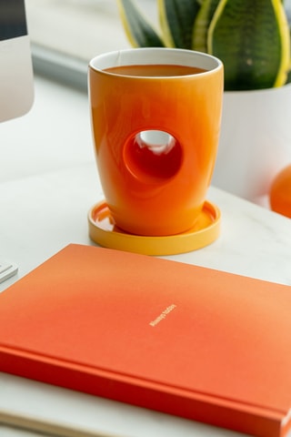 Bullet Journal - 192 Pagina's - Oranje - 14,8 x 21 x 1,4 cm