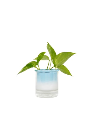 Aardewerk Hydrocultuurpot - 10,2 x 10 x 10,2 cm - Hemelsblauw