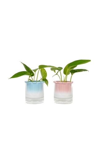 Aardewerk Hydrocultuurpot - 10,2 x 10 x 10,2 cm - Hemelsblauw