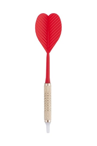 Cible De Faugères Pointes plastiques - 45 cm