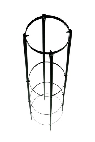 Tuteur rosier  - Noir