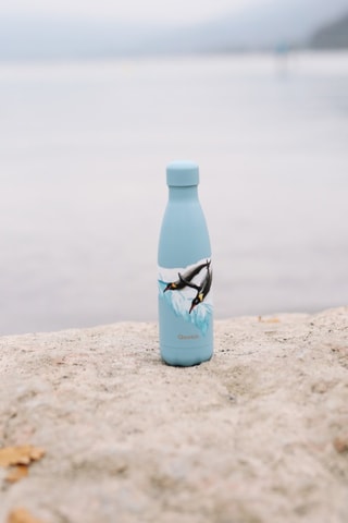 Bouteille isotherme en acier inoxydable Banquise - 50 cl