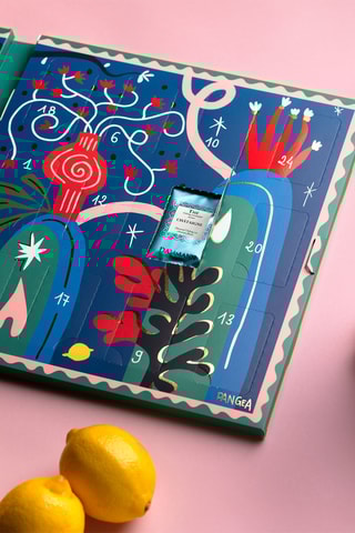 Calendrier de l'avent Le Jardin Enchanté - 24 sachets