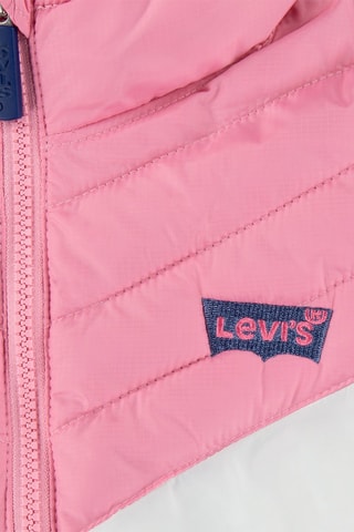 Gewatteerde Jas met Capuchon Blauw en Roze