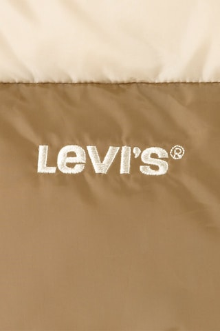 Gewatteerde Jas met Capuchon - Beige en kaki