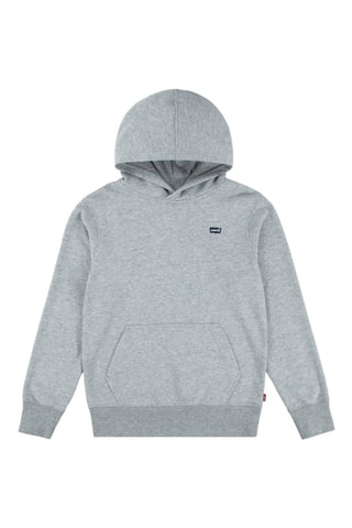 Sweater met Capuchon - Grijs