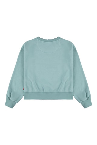 Sweat en coton biologique - Bleu