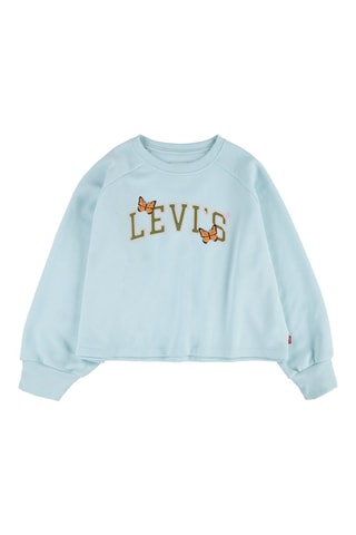 Sweater Blauw