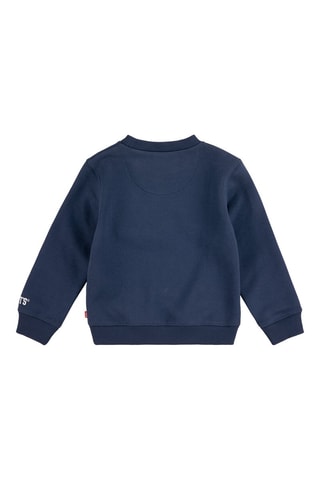 Sweater van Biologisch Katoen - Blauw