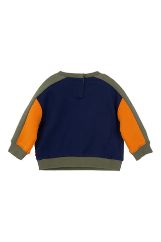 Sweater van Biologisch Katoen - Blauw