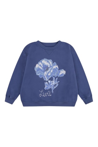 Sweater - Wit en blauw