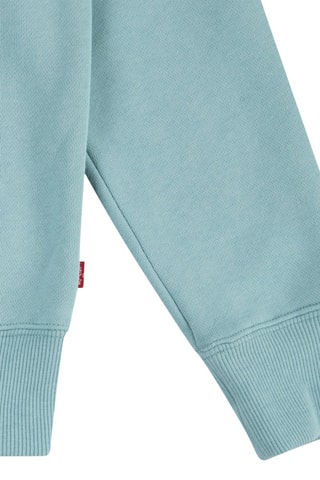 Sweater met Capuchon - Blauw