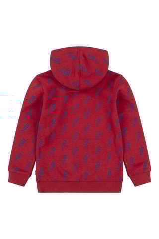 Sweat à capuche - Blanc, rouge et bleu