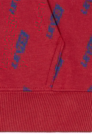 Sweat à capuche - Blanc, rouge et bleu