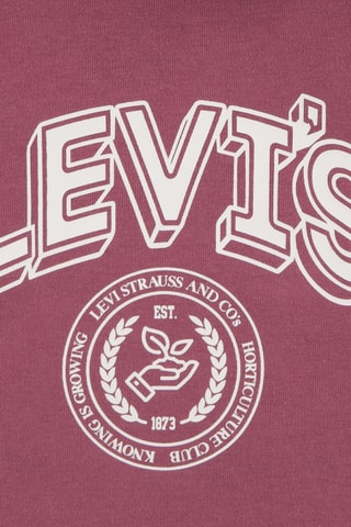 Sweater met Capuchon - Bordeauxrood