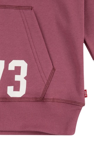 Sweater met Capuchon - Bordeauxrood