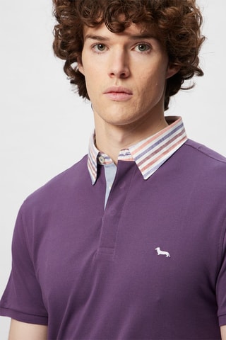 Polo Violeta - Harmont & Blaine