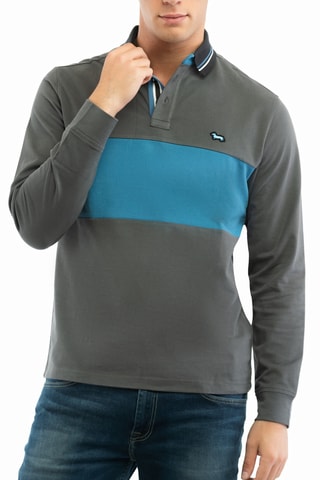 Polo - Cinzento e azul-cobalto
