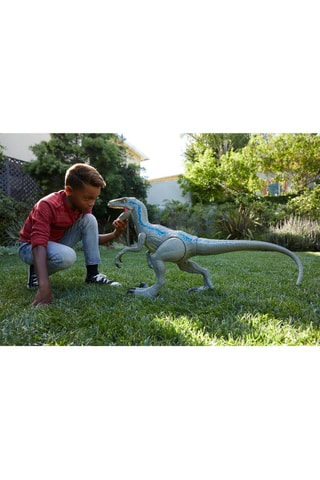 Figura Super Colossal Velociraptor Blue Jurassic World - A partir dos 48 meses
