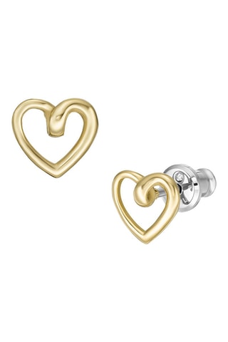 Oorbellen Goudkleurig