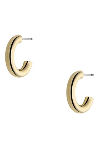 Creolen - Goudkleurig