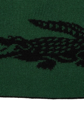 Bonnet réversible en laine - Noir et vert