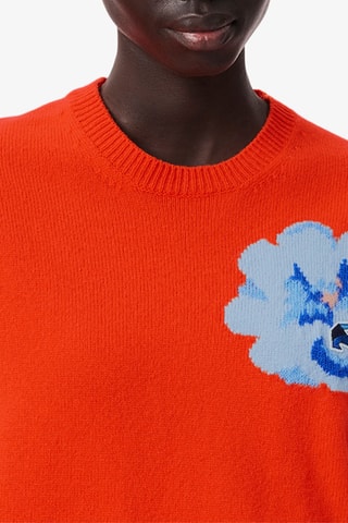 Pull en laine - Orange