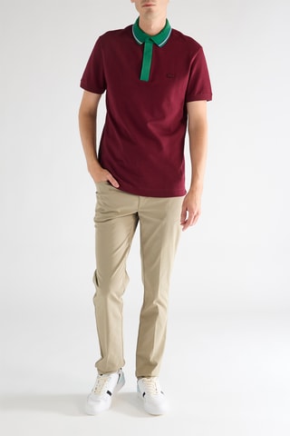 Polo regular en coton biologique - Bordeaux