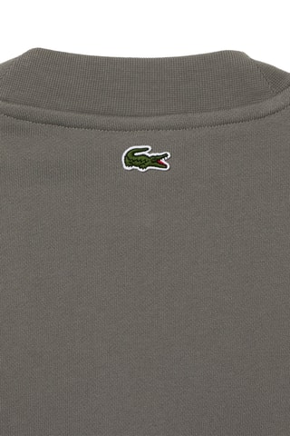 Sweat en coton biologique - Anthracite