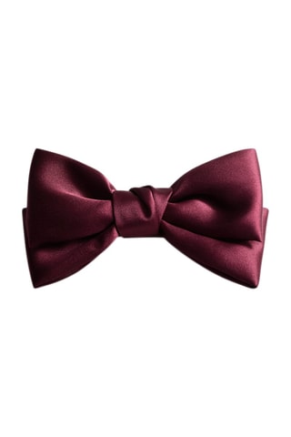 Pince à cheveux noeud - Bordeaux