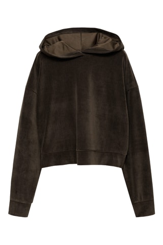 Sweat-shirt capuche velours côtelé - Kaki