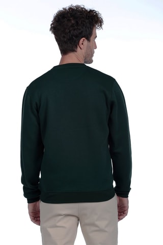 2 sweats - Verde e cinzento