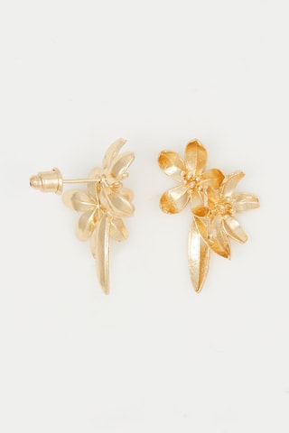 Oorbellen Goudkleurig