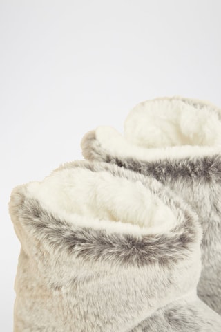 Botins forrados Nessie Cinzento-claro