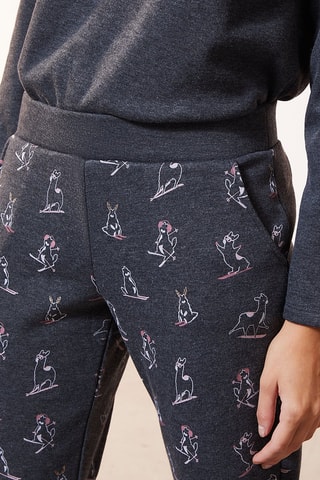 Calças de fato de treino Ovide Antracite