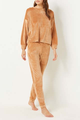 Velours Joggingbroek Dunkan - Camel
