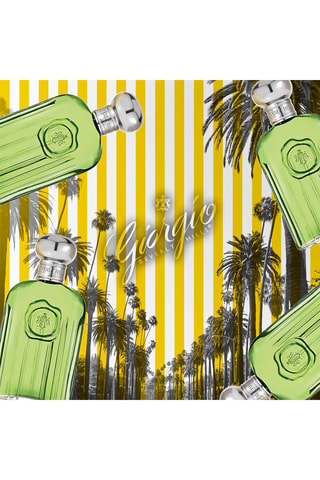 For Men Giorgio Beverly Hills - Eau de Toilette 118 ml