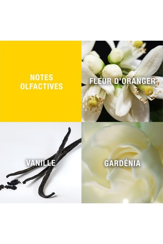 Giorio Beverly Hills Elizabeth Arden - Geparfumeerde Bodymist 236 ml