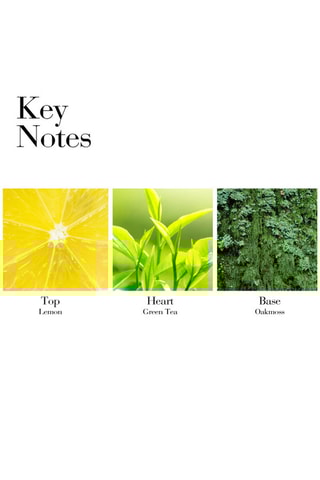 Coffret Green Tea Elizabeth Arden - EDT 100 ml et BL 100 ml