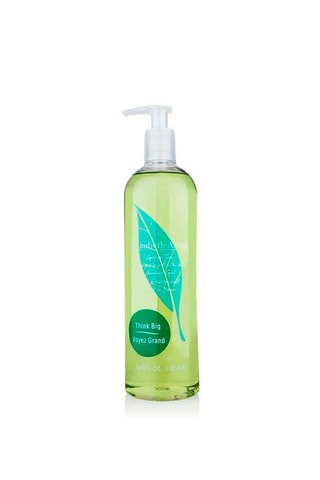 Green Tea Elisabeth Arden Douchegel 500 ml